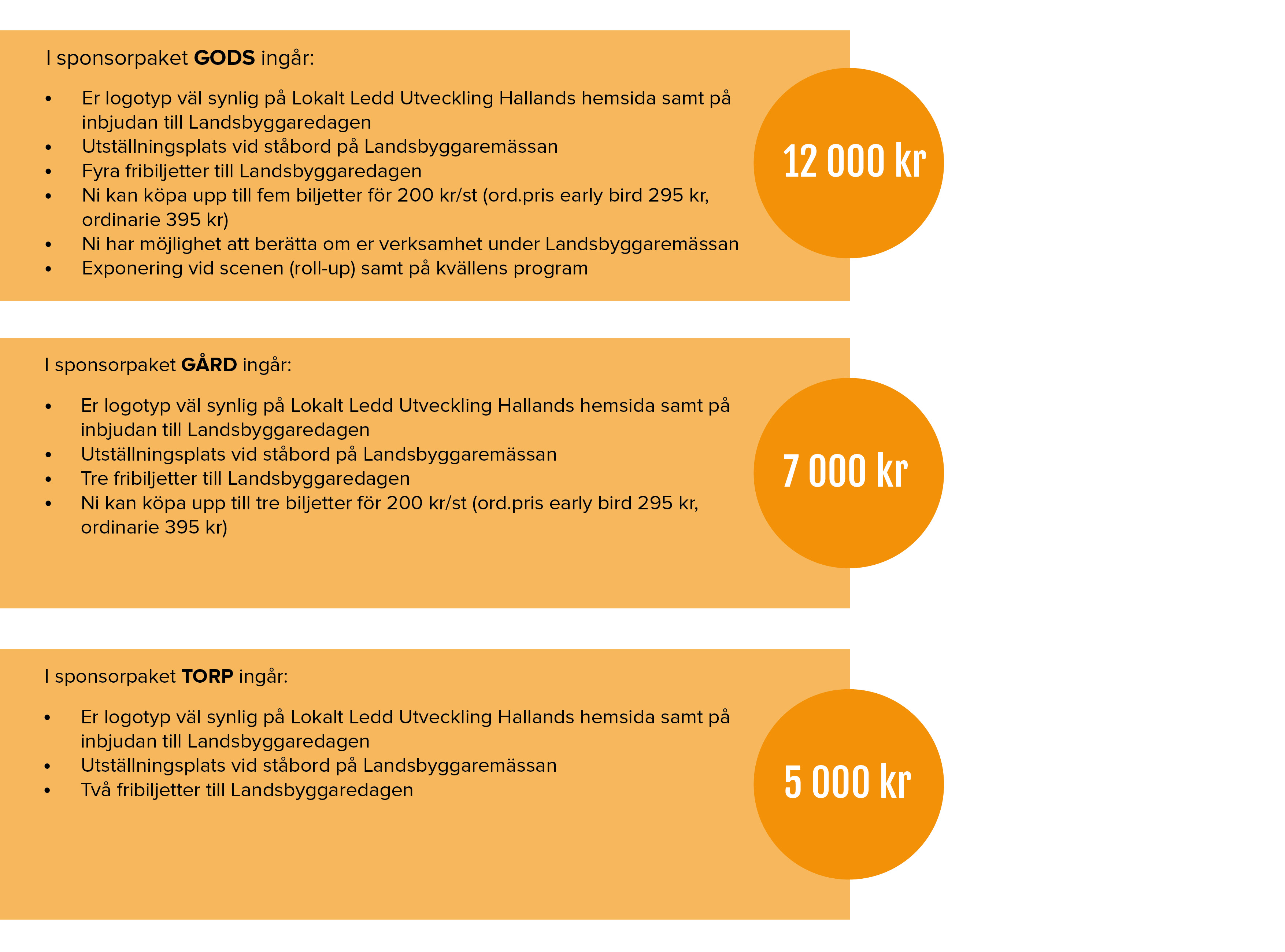 bild till hemsidan sponsorpaket2