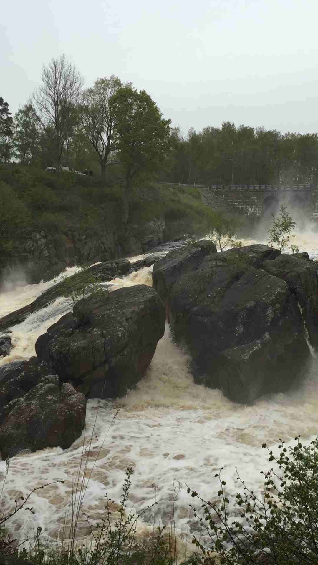 Mikrostöd - små bilder till webb (2)