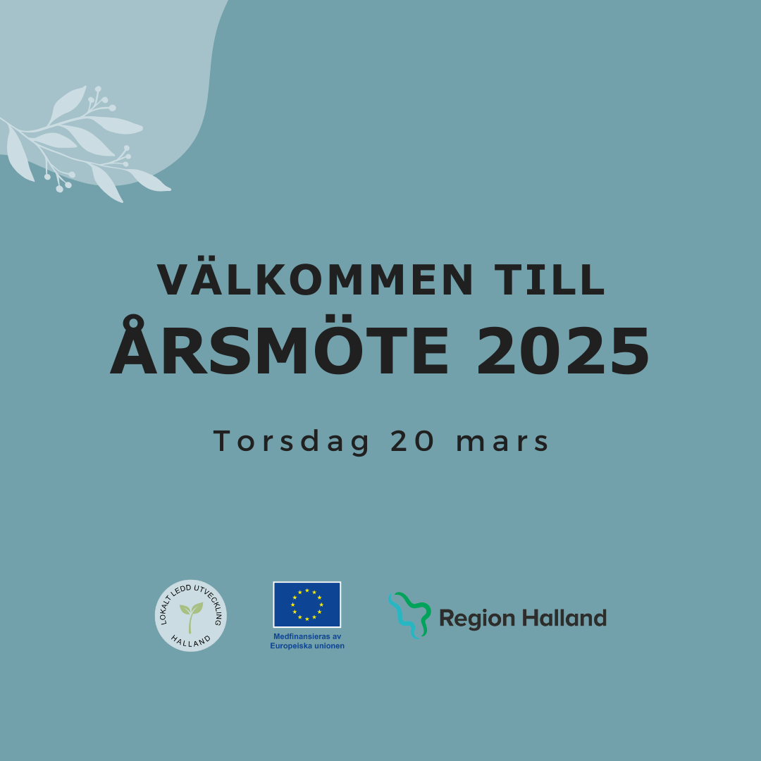 Årsstämma 2025 - webbsidan (1080 x 1080 px)