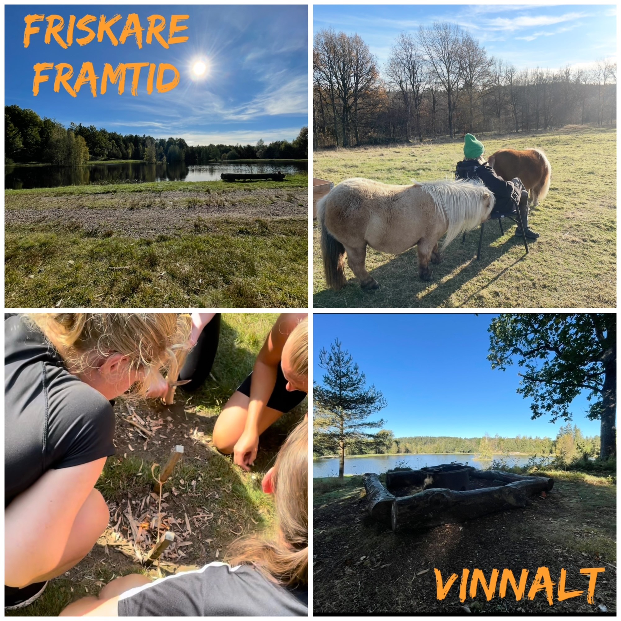 Vinhalt