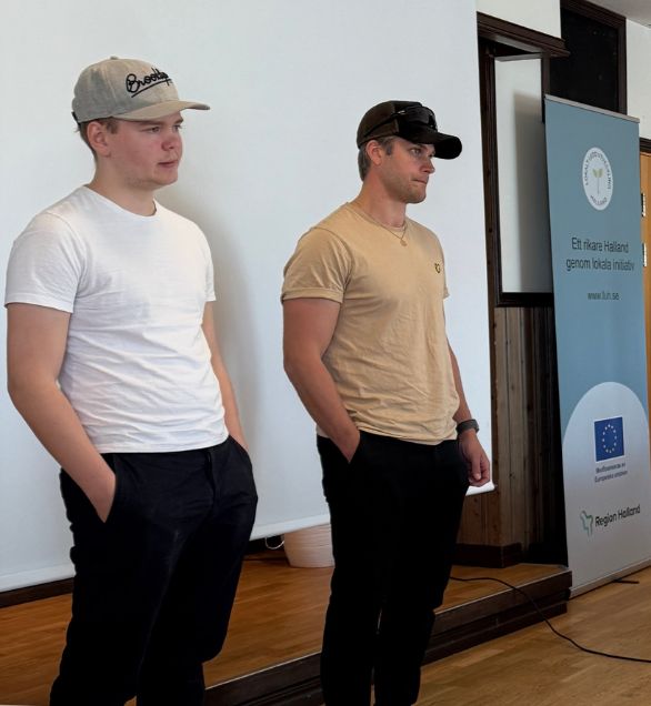 Projekt